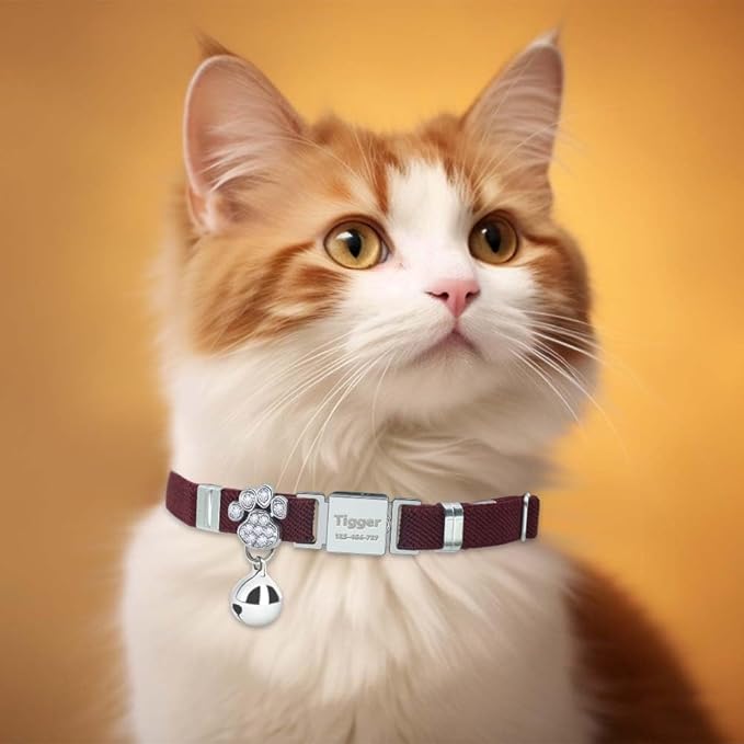 Personalized Safety Elastic Cat Collars with Bell,Laser Customized Stretch Kitten Collars for Girls Boys Cats-Wine Red