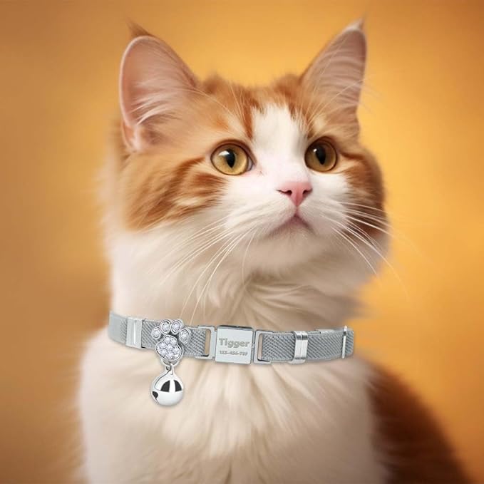 Personalized Safety Elastic Cat Collars with Bell,Laser Customized Stretch Kitten Collars for Girls Boys Cats-Grey