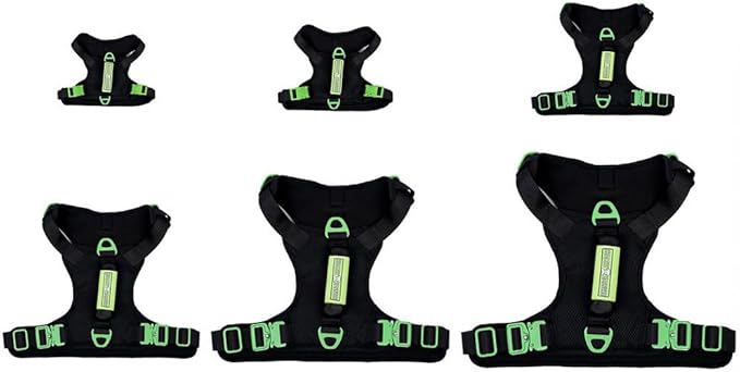 Supreme Sport Dog Harness with Leash - No Choke/Pull/Escape Dog Harness with Adjustable Padding, Easy On/Off, High Strength Buckles, Emergency Handle and 3 Connect Points (Silver, M)
