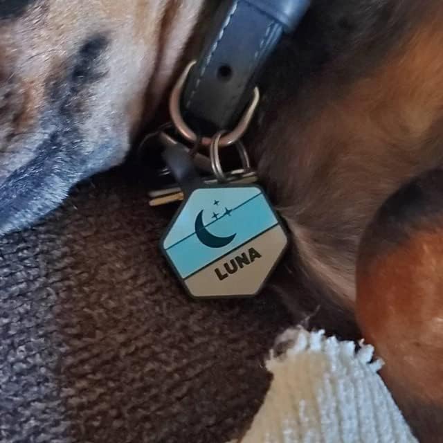 Silicone Silent Dog Tag Personalized with 5 Lines of Custom Deep Engraved Durable Soundless Pet ID Name Tag Hexagon Tiffany