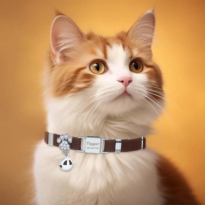 Personalized Safety Elastic Cat Collars with Bell,Laser Customized Stretch Kitten Collars for Girls Boys Cats-Chocolate
