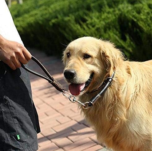 Guiding Star Short Leather Dog Leash - Traffic Leash for Large & Medium Dogs - Training & Walking (12"*3/4", Brown)
