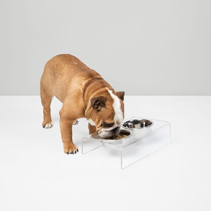 Hiddin Double Slanted Elevated Dog Bowl Stand for Medium or Large Dogs, All Breeds, Clear Acrylic 6 to 7 Inches Raised Dog Bowl Stand with Two Stainless Steel Bowls for Food and Water - 6.5 Cups Dish