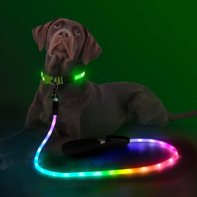 YFbrite 5FT Light up Dog Leash with 15 Flashing Modes - Super Bright LED Dog Leash for Small Medium Large Dogs - Type-c Rechargeable Dogs Leashes Light (Multi-Color, 5FT (150cm))