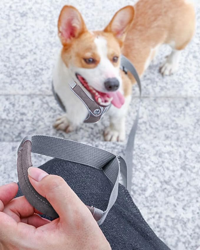 Puppy Harness and Leash Set,No Pull Adjustable Step in Soft Mesh Vest Harness,Easy Walk Reflective Pet Harness with Padded Handle for Walking Training Small Medium Large Dogs and Cats (Grey, XS)
