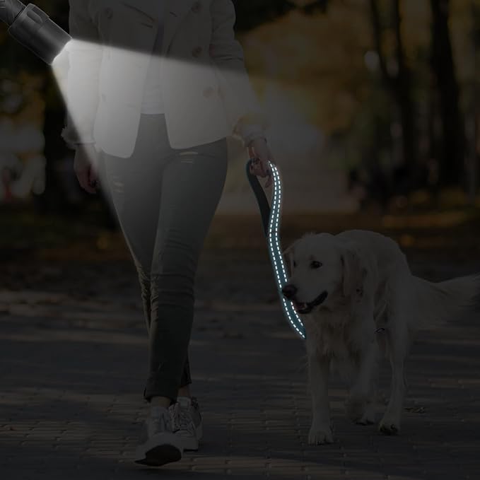 CHENEDY Dog Leash, Short Dog Leash, 24 Inch, Black