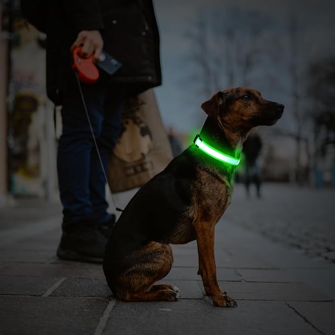LED Dog Collar, USB Rechargeable Light Up Dog Collars, Adjustable Glow Collars for Dogs, Reusable Safety Dog Collar for Small, Medium, Large Dogs (Green, Small)