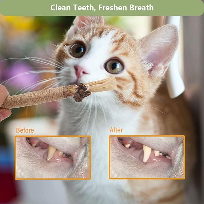 RELONGGI 5 PCS Silvervine Sticks for Cats - Natural Cat Chew Toys for Teeth Cleaning, Kitten Teething & Aggressive Chewers