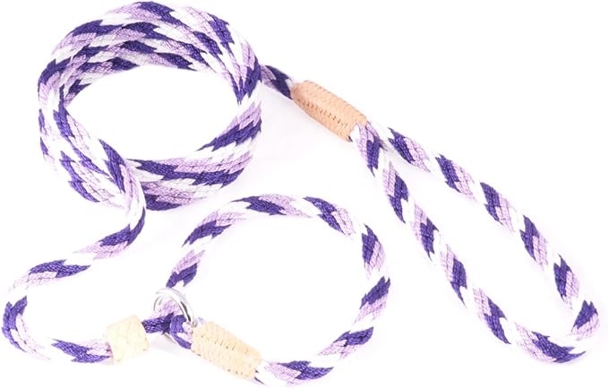 Alvalley Nylon Dog Training Leash with Stopper - Adjustable Nylon Rope Comes with Braided Leather at Ends - Tagua Bead Stopper Slip Lead - Suitable for Walking, and Training
