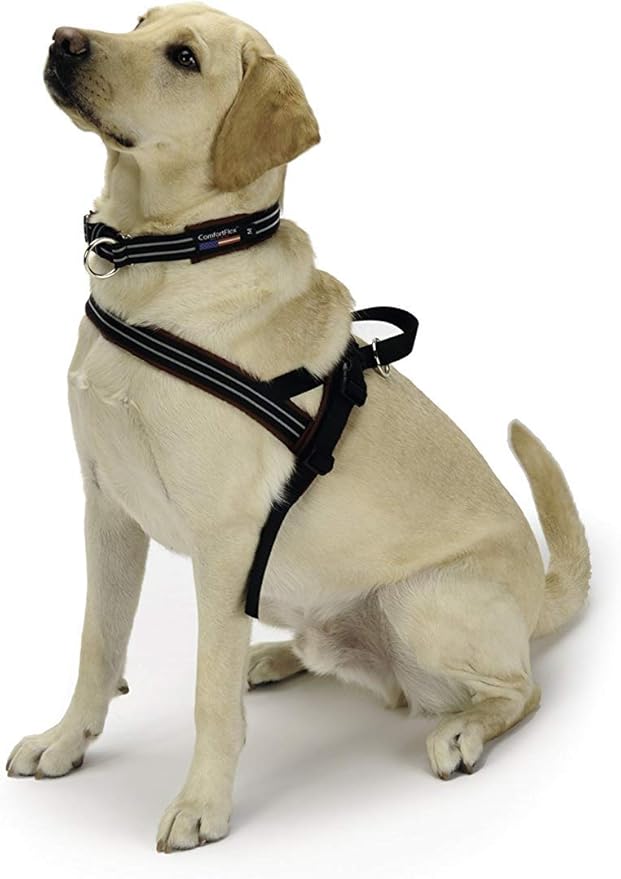 ComfortFlex Sport Dog Harness – No-Choke, Fully Padded, Non-Chafing Harness with Control Handle – Reflective, Lightweight, Adjustable for Active Dogs – Medium, Blue Jay