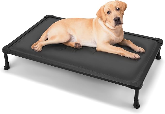 Veehoo Chewproof Elevated Dog Bed, Durable Raised Pet Cot with Soft PP Cotton-Filled Waterproof Mat, Washable Padded Cot for Indoor, Outdoor & Camping, 41-Inch, Grey