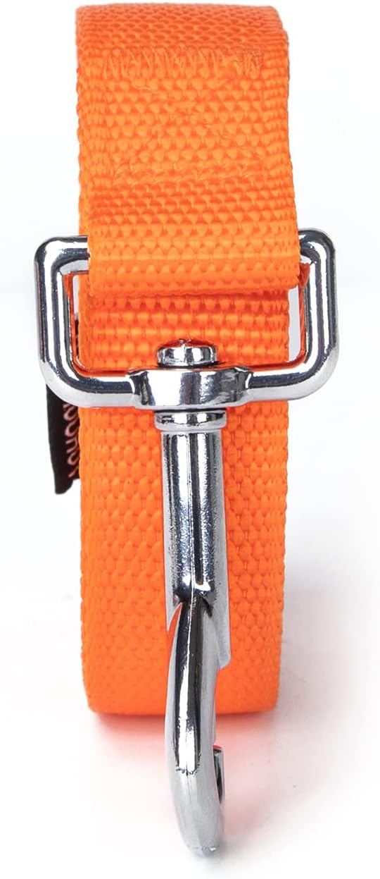 Siumouhoi Strong Durable 6ft Nylon Dog Training Leash, 1 Inch Wide Traction Rope, for Small and Medium Dog (Orange, 6 Feet)