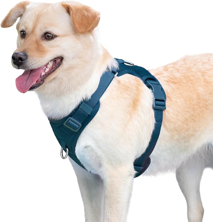 No Pull Dog Harness for Small Medium Large Dogs - Adjustable 2 Layer Mesh Dog Vest with Dual Clip, Escape Proof, Quick Release, Lightweight Breathable Mesh for Walking Hiking (Prussian Blue,XS)