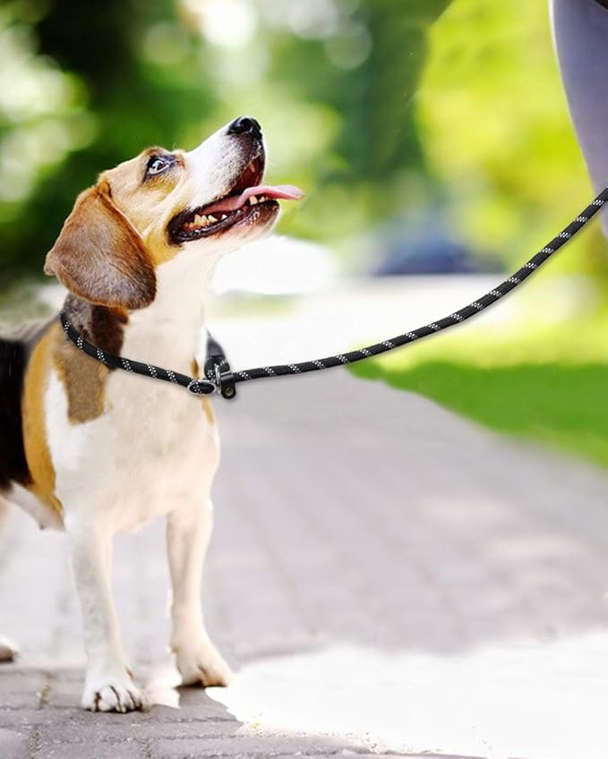 TagME Slip Leads for Dogs, 6 FT Heavy Duty Slip Leash with Padded Handle, Strong Rope No Pull Pet Training Leash for Medium Dogs,Black