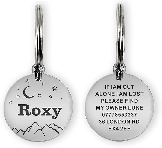 Dog Tags Engraved for Pets Personalized Dog Name Tags Dog ID Tags Small Cat Tags Large Dog Collar Tags Custom Text Stainless Steel Engraved on Both Sides(S Silver)