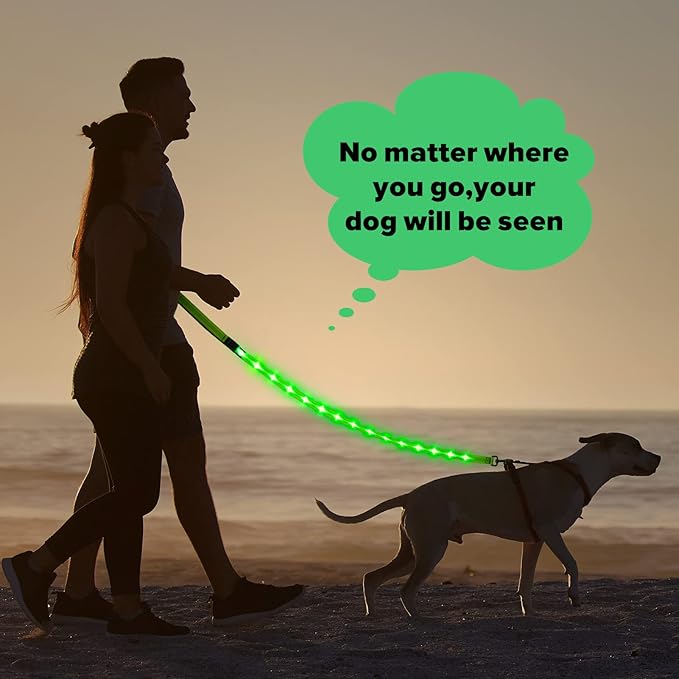 Illumifun LED Dog Leash, USB Rechargeable Glowing Light Up Dog Leash, Nylon Flashing Safety Pet Light for Night Walking (Greenā
”)