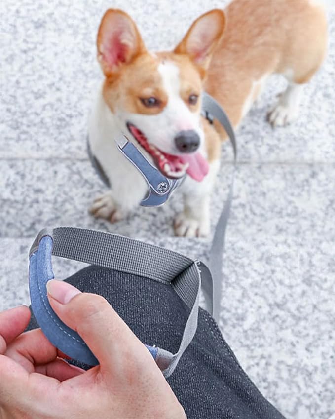 Medium Dog Harness and Leash Set,No Pull Adjustable Step in Soft Mesh Vest Harness,Easy Walk Reflective Pet Harness with Padded Handle for Walking Training Small Medium Large Dogs and Cats (Blue, M)