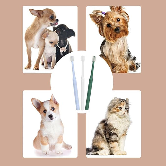 Small Pet Toothbrush for Dog Cats Teeth Tool 360 Degree Soft Bristle Dog Toothbrush for Teeth Health Daily Use Pet TeethBrush