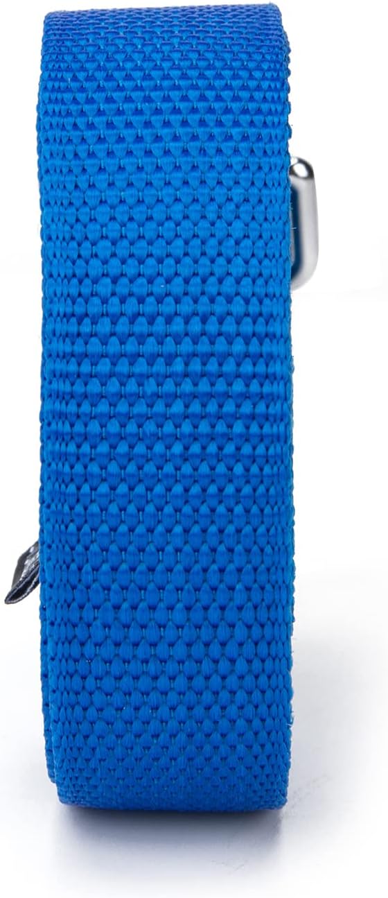 Siumouhoi Strong Durable Nylon Dog Training Leash, 1 Inch Wide Traction Rope, 6 ft 10ft 15ft Long, for Small and Medium Dog (Blue, 6 Feet)
