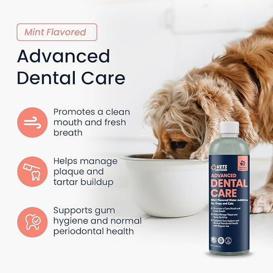 Vets Preferred Dog Breath Freshener & Water Additive for Dental Care – Fights Bad Breath, Removes Tartar & Plaque – Dog Mouthwash for Healthy Teeth & Gums, Gingivitis Support – Mint Flavor