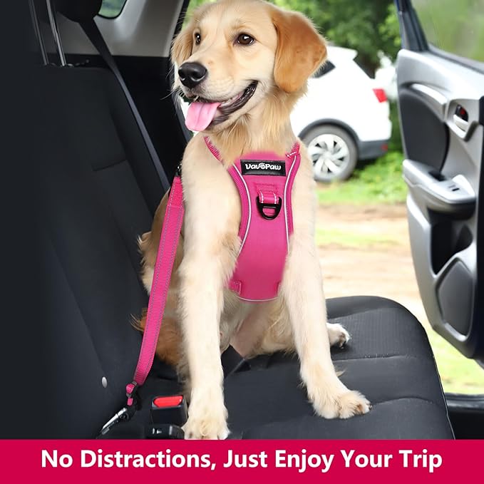 VavoPaw Dog Seat Belt Harness for Car, Dog Car Harness Adjustable Mesh Breathable & Dog Seatbelt Safety Tether with Elastic Bungee for Small Medium Large Pets(Rose, M)