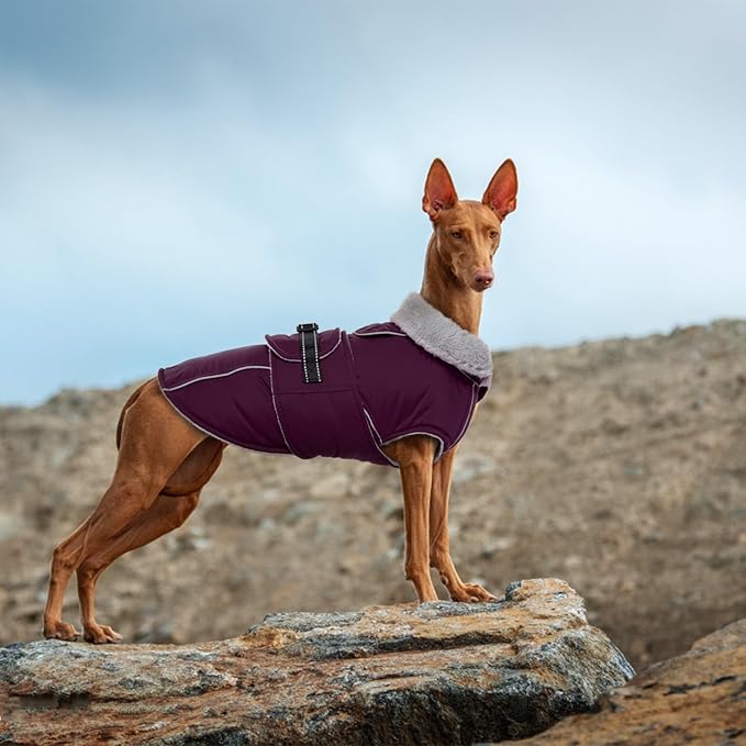 Lelepet Warm Dog Coat Waterproof Dog Jacket for Extra Large Dogs Reflective Fleece Vest with Adjustable Buckle Hook & Loop Windproof Cold Weather Coats for Small Medium Large Dogs, Dark Purple, XXXL