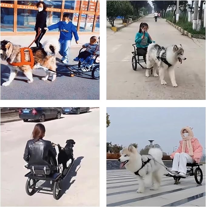 Dog Carts for Dogs to Pull Working Detachable Dogs Pull Carts with Armrests and Pet Harness Dog Trailer for 22lb-132lb Medium/Small/Large Dogs, Load Capacity 100kg(Size:10-40kg/22lb-88lb)