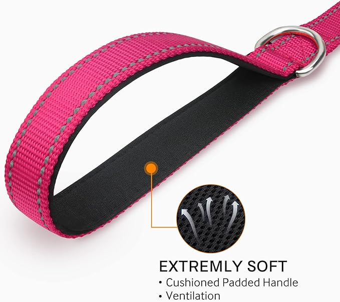 Joytale Dog Leash, 6 FT Double-Sided Reflective, Padded Handle Nylon Heavy Duty Leashes for Small & Medium Dogs Walking, Hotpink
