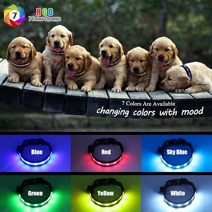 Light Up Dog Collar, Safety LED Dog Collars Rechargeable 7 Colors in One Lighted Dog Collar Glow in The Dark Dog Walking Light, Neon Durable Nylon Adjustable Buckle for Small/Medium/Large Dogs, M Size