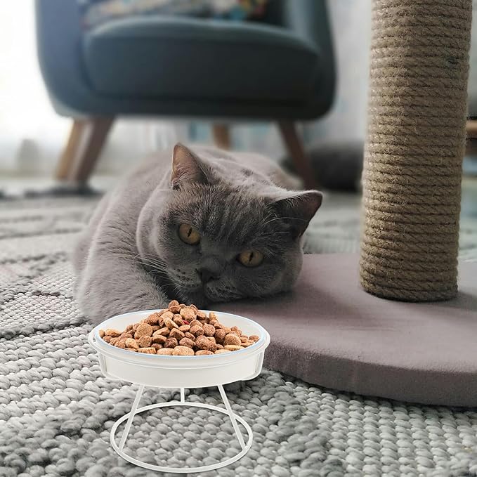 Ceramic Raised Cat Slow Feeding Bowl with Elevated Stand Whisker-Friendly Slow Eat Pet Dish for Small Dogs and Kittens for Indoor Feeding