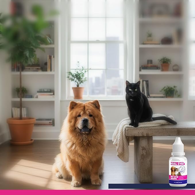 Heal Eyes Daily Eye Care Drops 1 fl oz (30 ml) for Cats, Dogs, Birds & Horses – Gentle Tear Stain Remover, Soothing Eye Cleaner, Alcohol-Free & Vet-Formulated