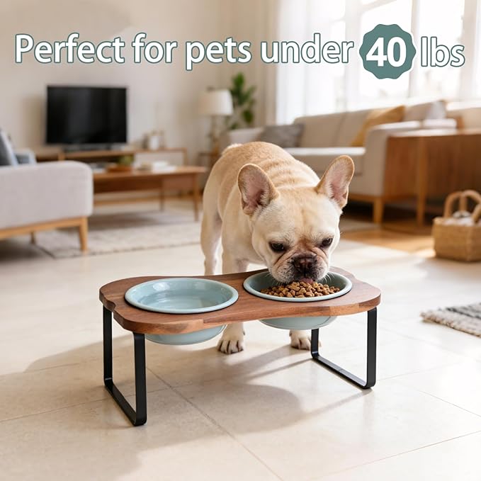 SPUNKYJUNKY Ceramic Elevated Tilted Dog Bowls Bone-Shaped Raised with 2 Height Iron Stand, 6.9'' Dog and Cat Food Water Bowls Set Non-Slip for Small Medium Sized Breed - 20 OZ,Light Green