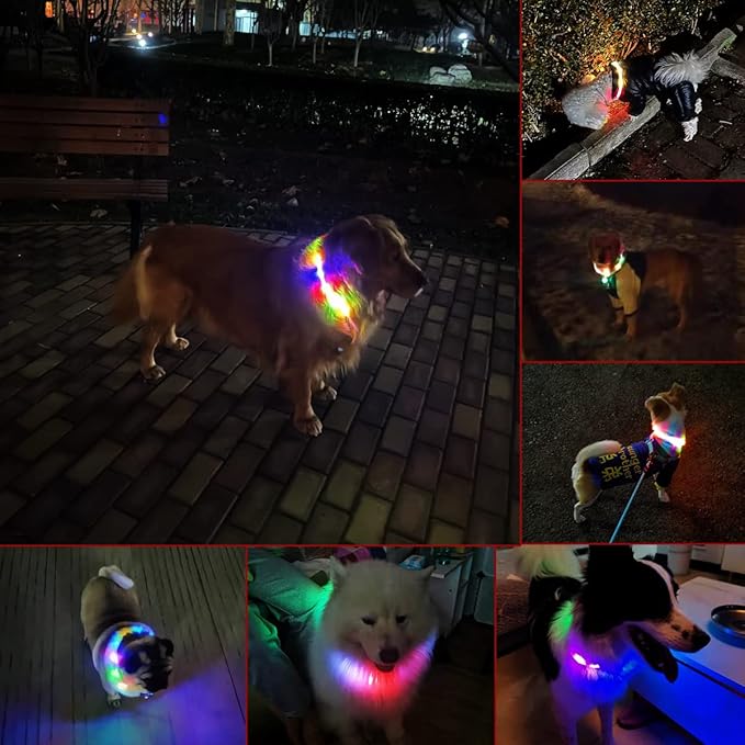 Waterproof LED Dog Collar USB Rechargeable Light Up Dog Collars Lights for Night Walking Lighted Safety Training & Behavior Aids for Small Medium to Large Dogs