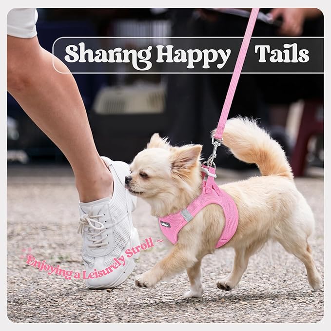 rabbitgoo Dog Harness Small Sized and Leash Set, Step in Soft Light Puppy Vest, Breathable Mesh Pet Harness, Reflective for Safe Easy Walking, Light Pink XXS