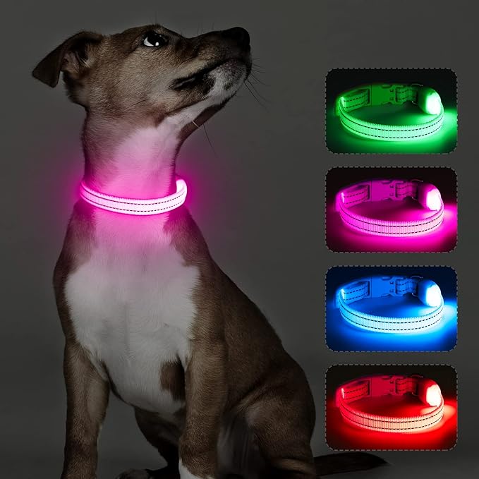Light Up Dog Collar- Rechargeable Puppy Collars Glow in The Dark LED Dog Collar for Night Walking (X-Small, Pink)