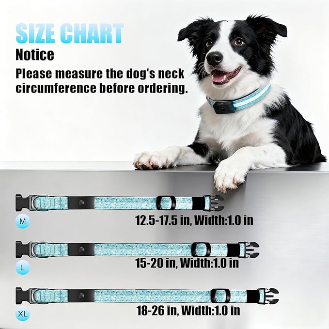 LED Dog Collar - Brightest Light Up Dog Collars - 1,600 Feet of High Visibility - Magnetic Charging - Dog Lights for Night Walking, Daisy Extra Large