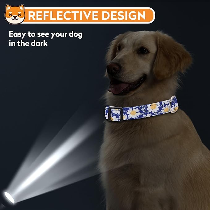 Reflective Dog Collar, Adjustable Soft Neoprene Padded Nylon Pet Collars with Buckle for Puppy and Small Dogs, Cats, Small Daisies Blue,M