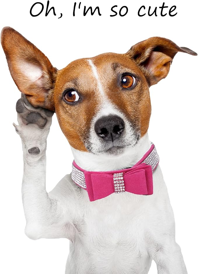 Rhinestone Dog Collar for Small Medium Large Dogs, Adjustable Leather Suede Bling Dog Collars,Diamond Bow Tie Puppy Collars for Boy and Girl.