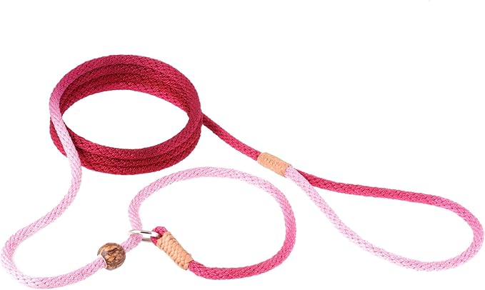 Alvalley Nylon Dog Training Leash with Stopper - Adjustable Nylon Rope Comes with Braided Leather at Ends - Tagua Bead Stopper Slip Lead - Suitable for Walking, and Training
