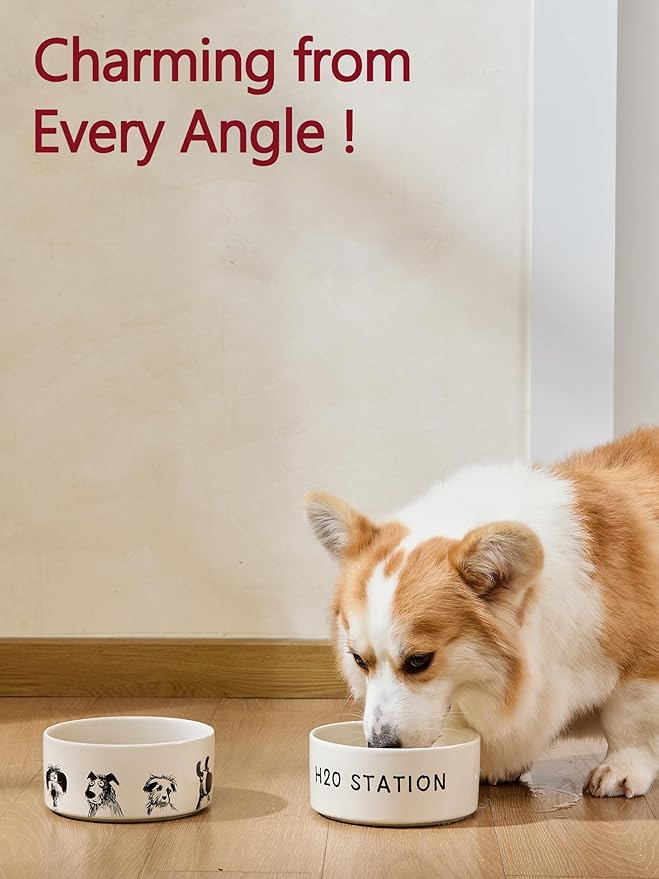 Ceramic Dog Bowl Set of 2 with Weighted Non-Slip Ring-3.3 Cups, Stoneware Food and Water Set, Pet Feeding, Microwave and Dishwasher Safe-Derpy-M 2pcs