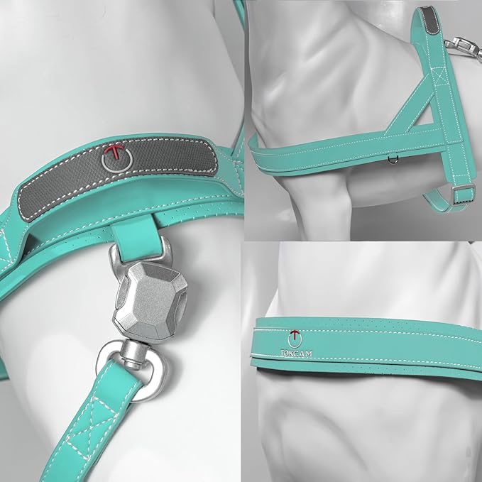 Magnetic Quick-Release Buckle Dog Harness and Leash Set, Easy Walk Faux Leather Puppy Harness, Easy On & Off Dog Vest with Handle for Medium, Large Girl Boy Dogs for Hiking Training, Teal, L