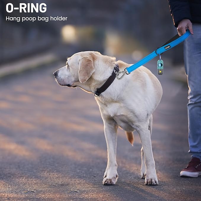 ZALER Short Dog Leash 1 ft, 12 Inches Traffic Leashes for Dogs, Nylon Reflective Dog Lead with Padded Handle, Heavy Duty Pet Leash with Carabiner Clip for Large and Medium Dogs (12" Blue)