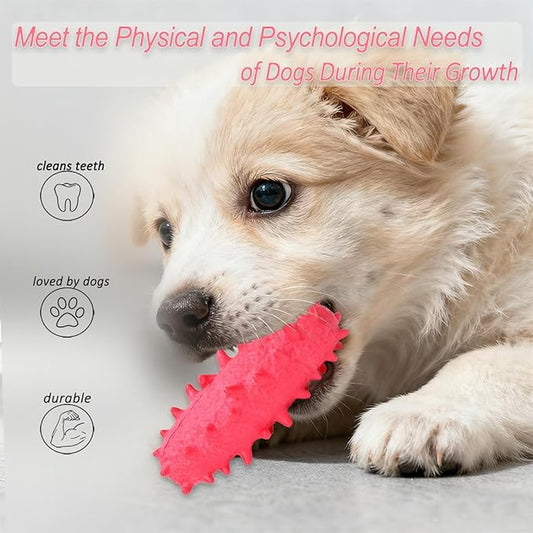 2 Pack Chew Toys for Puppies & Dogs, Dog Chew Toys to Keep Them Busy, Durable Puppy Teething Chew Toys, Tough Puppy Toothbrush Clean Teeth Interactive Toys for Small Medium Breed (Pink)