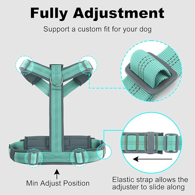 Plutus Pet No Pull Dog Harness, Adjustable Nylon Harness with Soft Padding, Reflective and Heavy Duty Dog Harness for Small, Medium, Large Dogs(Teal, S)