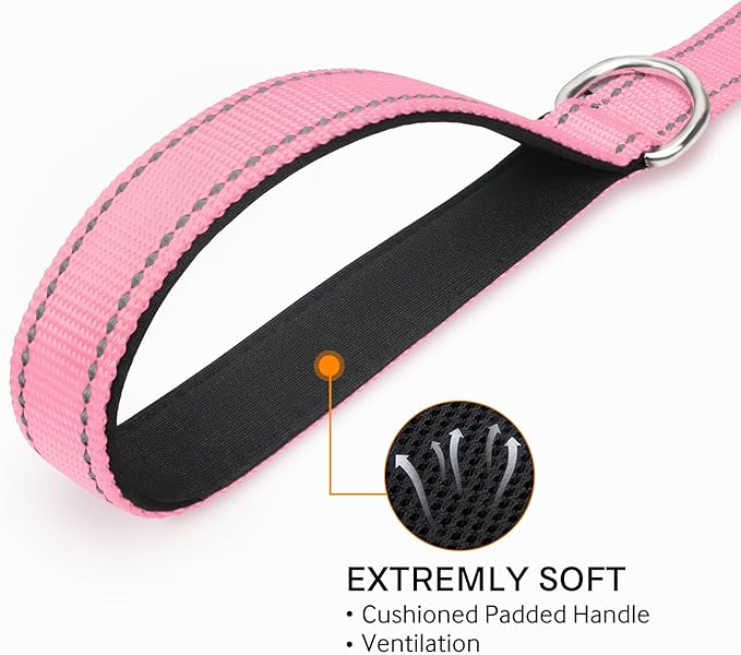 Joytale Double-Sided Reflective Dog Leash, 6 FT/5 FT/4 FT, Padded Handle Nylon Heavy Duty Leashes for Small & Medium Dogs Walking, Pink, 6FT