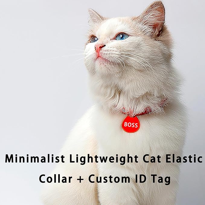 Minimalist Stretch Lightweight Custom Engraved Cat Collar with Name Tag Personalized Cat Collars for Kitten Boy & Girl Cats (Red, Collar with ID Tag)