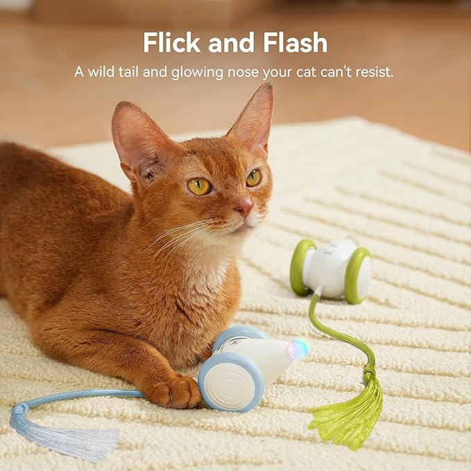 Cheerble Interactive Cat Toys for Indoor Cats, Automatic Moving Kitten Toys, Wicked Mouse Neo Cat Toy with Tail & Lights, Pet Cat Supplies, Rechargeable Cat Toys for Bored Indoor Adult Cats