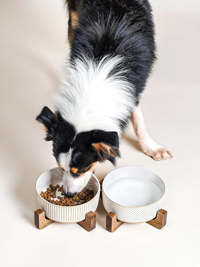 LE TAUCI PET Ceramic Dog Bowls for Medium Large Dogs - 5 Cup Large Dog Food and Water Bowls with Wood Stand, Cute Pet Dishes Set of 2, Lines+Dot