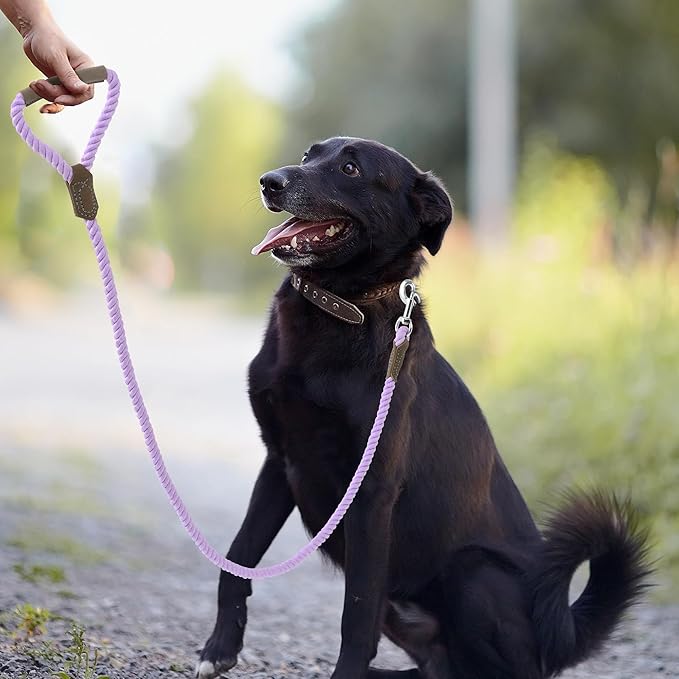 Mile High Life Dog Leash, Braided Cotton Rope Leashes with Leather Handle - Heavy Duty Metal Clasp, 4FT, 1/2" Thick - Wedding, Walking & Training Leash for Small Medium Large Dogs (Purple)