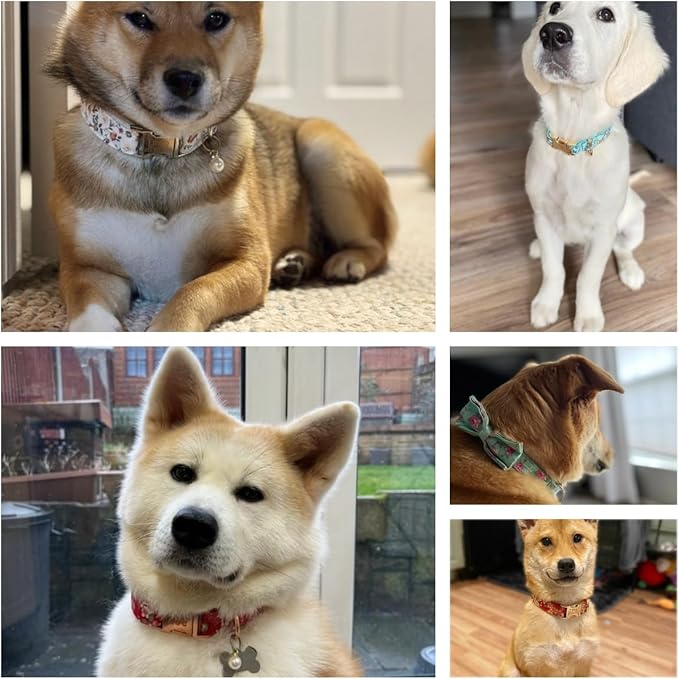 Personalized Dog Collar with Engraved Metal Buckle - Custom Name & Phone Number - Adjustable for Small, Medium, Large Breeds (Floral)